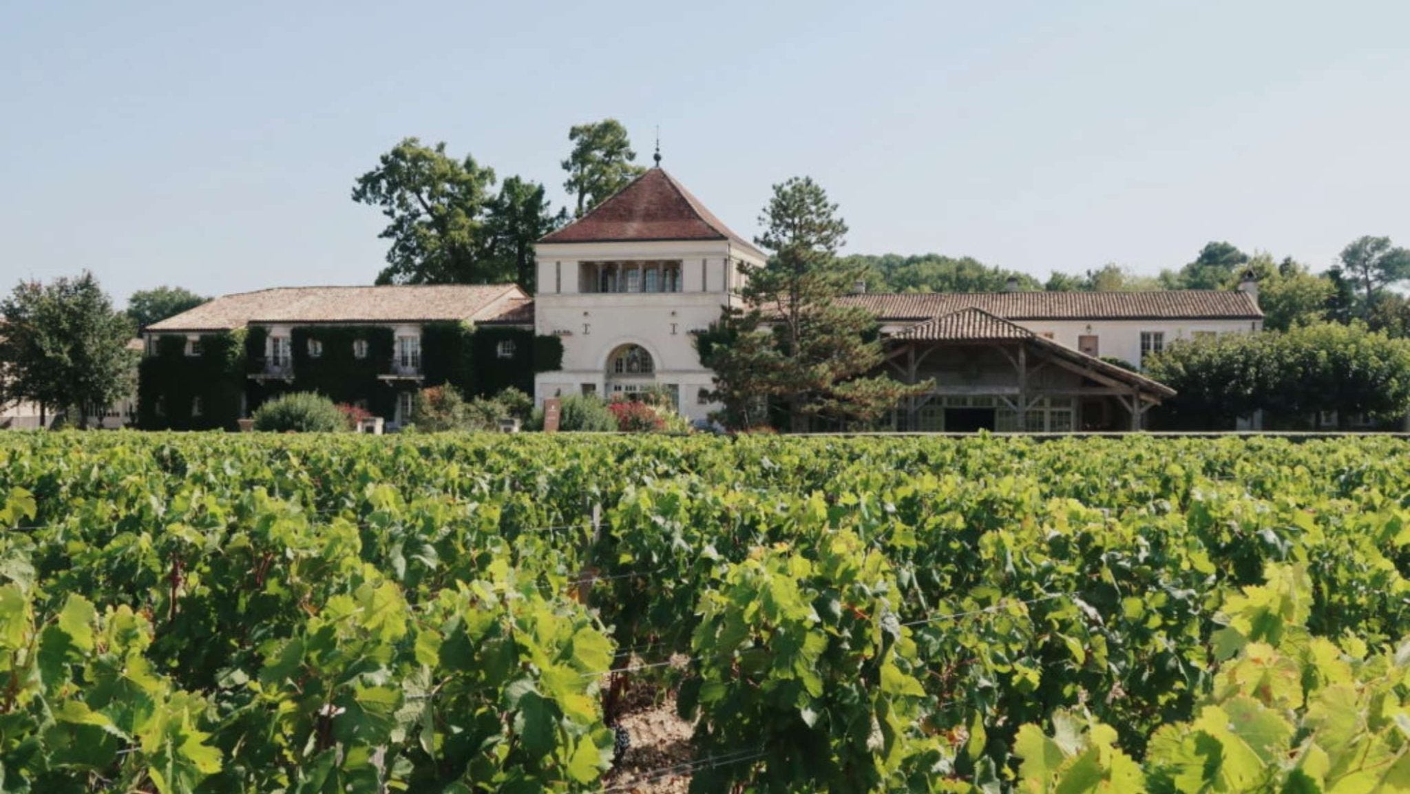 Brand Spotlight: Caudalie - French Beauty Co.