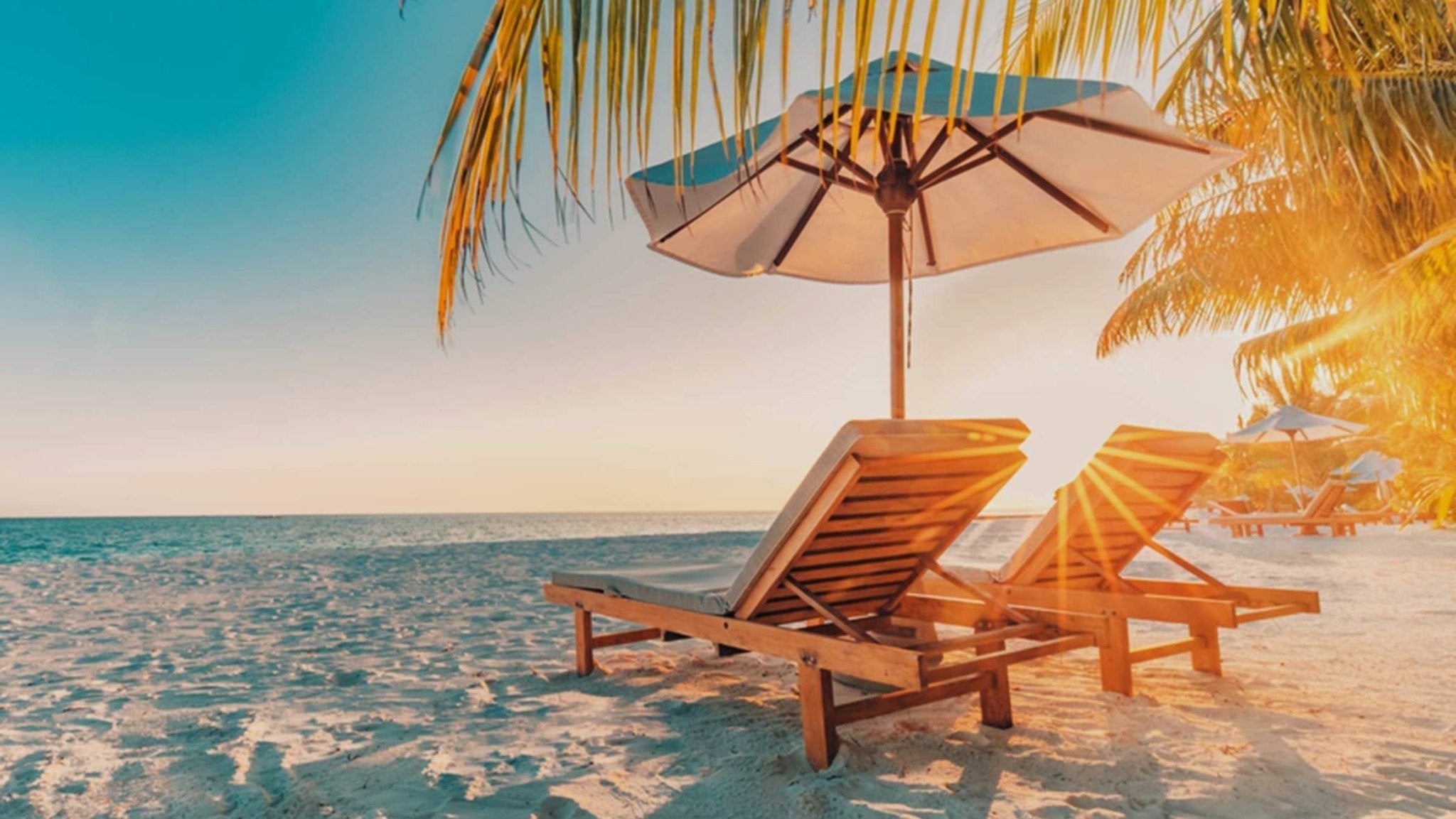 Staff Summer Picks - French Beauty Co.