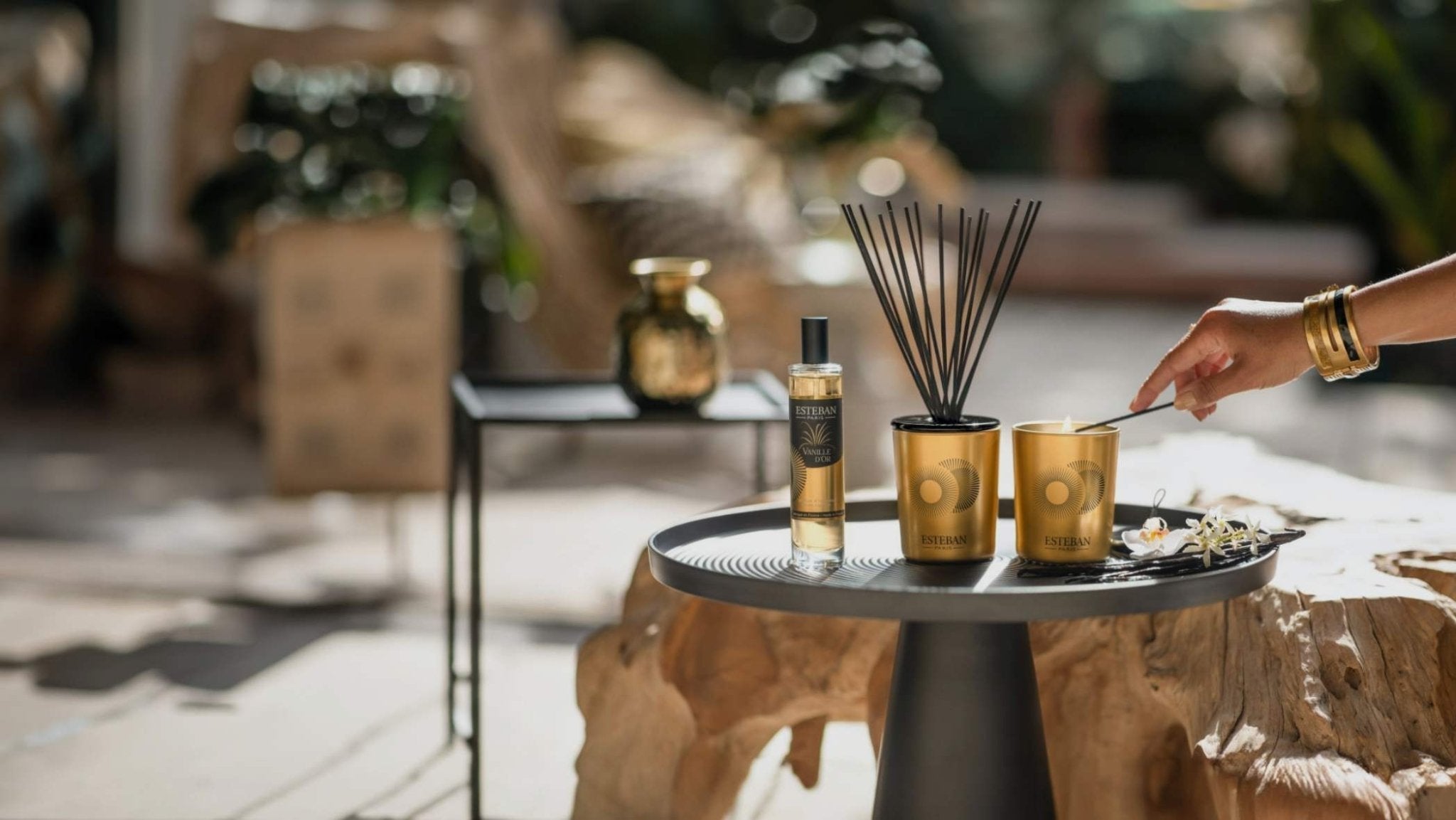 The Story Behind Esteban: A Romantic Tale of Love and Fragrance - French Beauty Co.