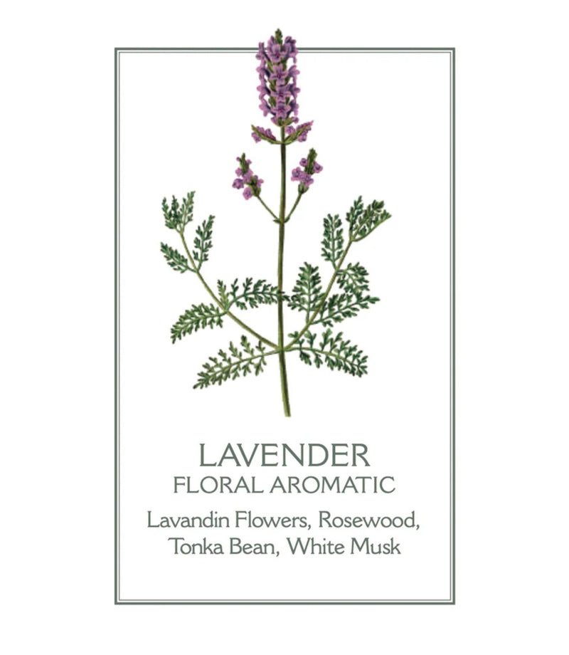 Lavender Shower Gel 200ml - French Beauty Co.Panier des Sens