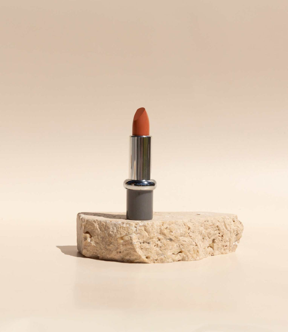 Lipstick with Prolip - Honey Desire (676) 4g
