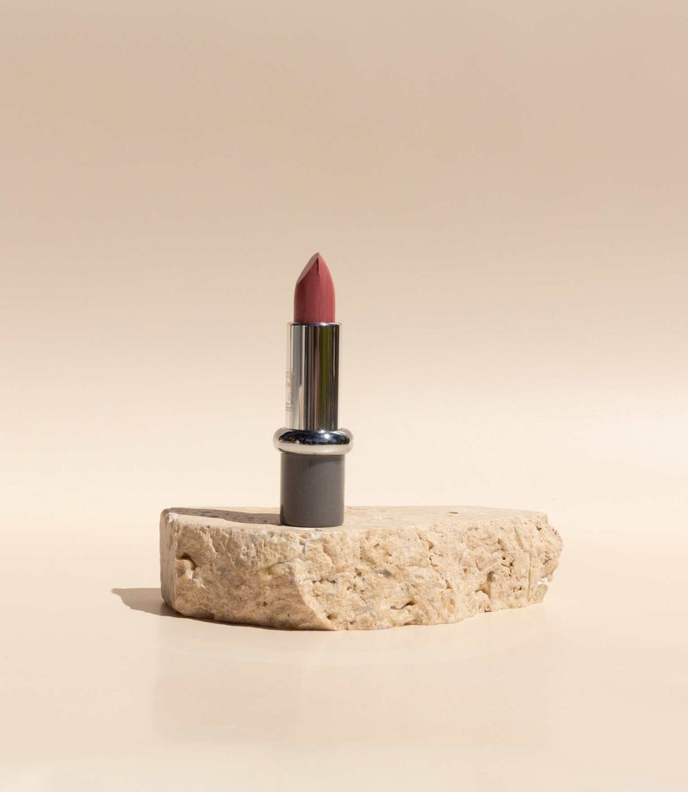 Lipstick with Prolip - Rosewood Joy (678) 4g