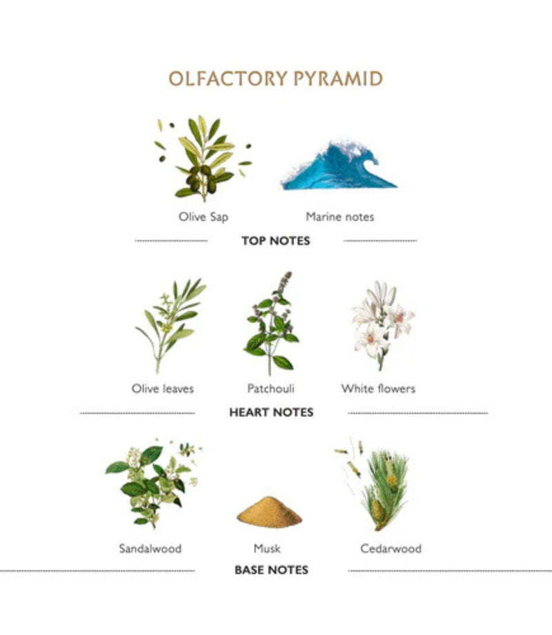 L'Olivier Shaving Set ­Soap and Bowl - French Beauty Co.Panier des Sens