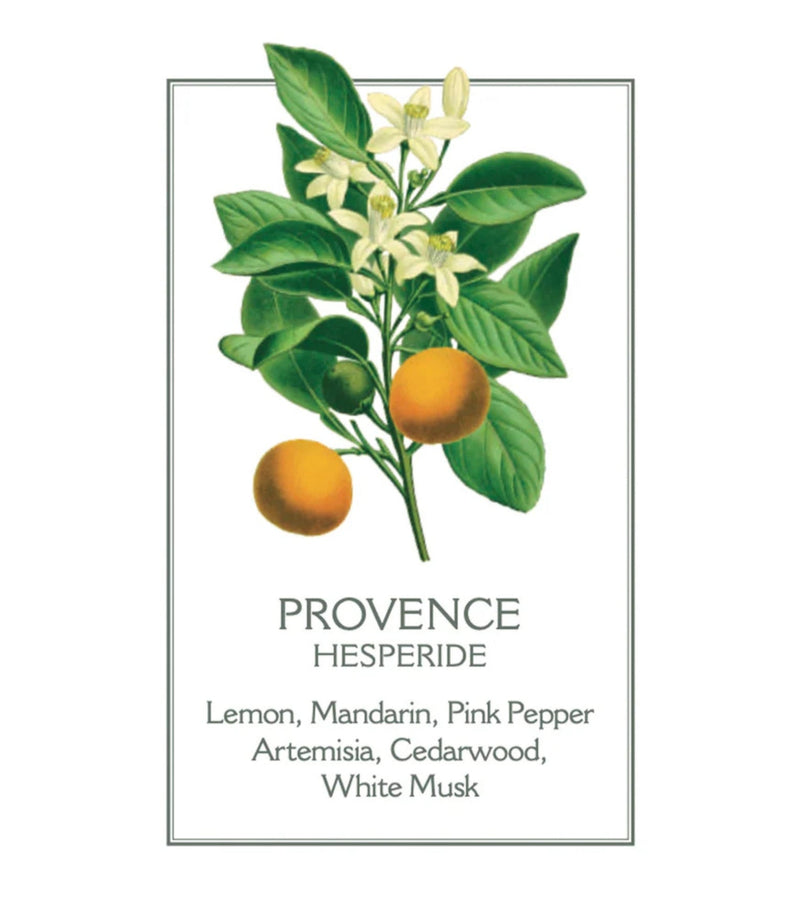 Provence Shower Gel 200ml - French Beauty Co.Panier des Sens