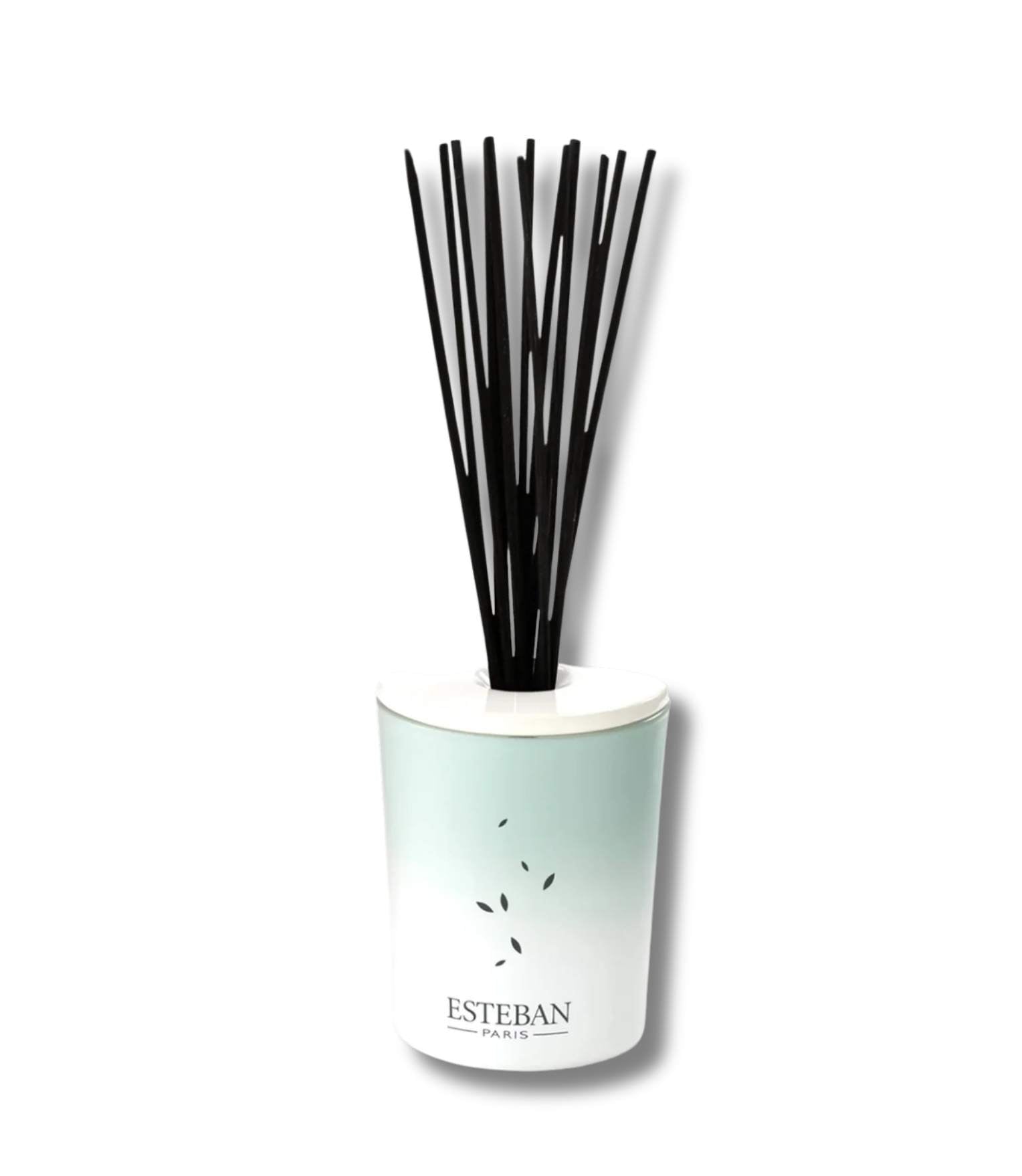 Esteban Pur Lin Decorative Diffuser 100ml | French Beauty Co.