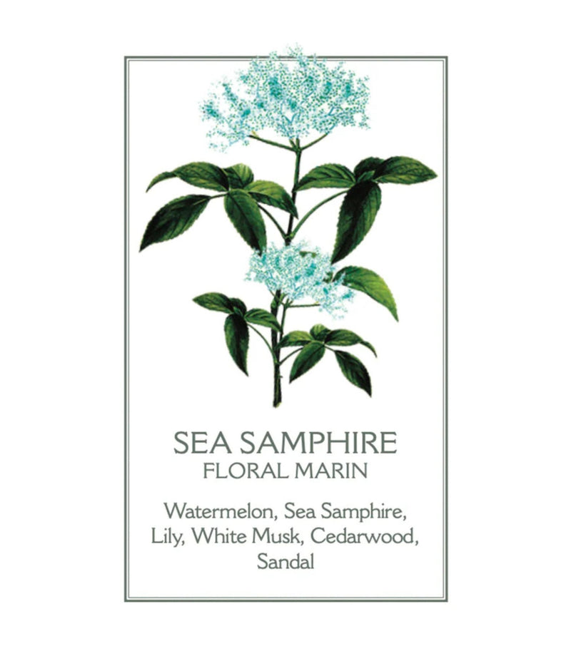 Sea Samphire Shower Gel 200ml - French Beauty Co.Panier des Sens