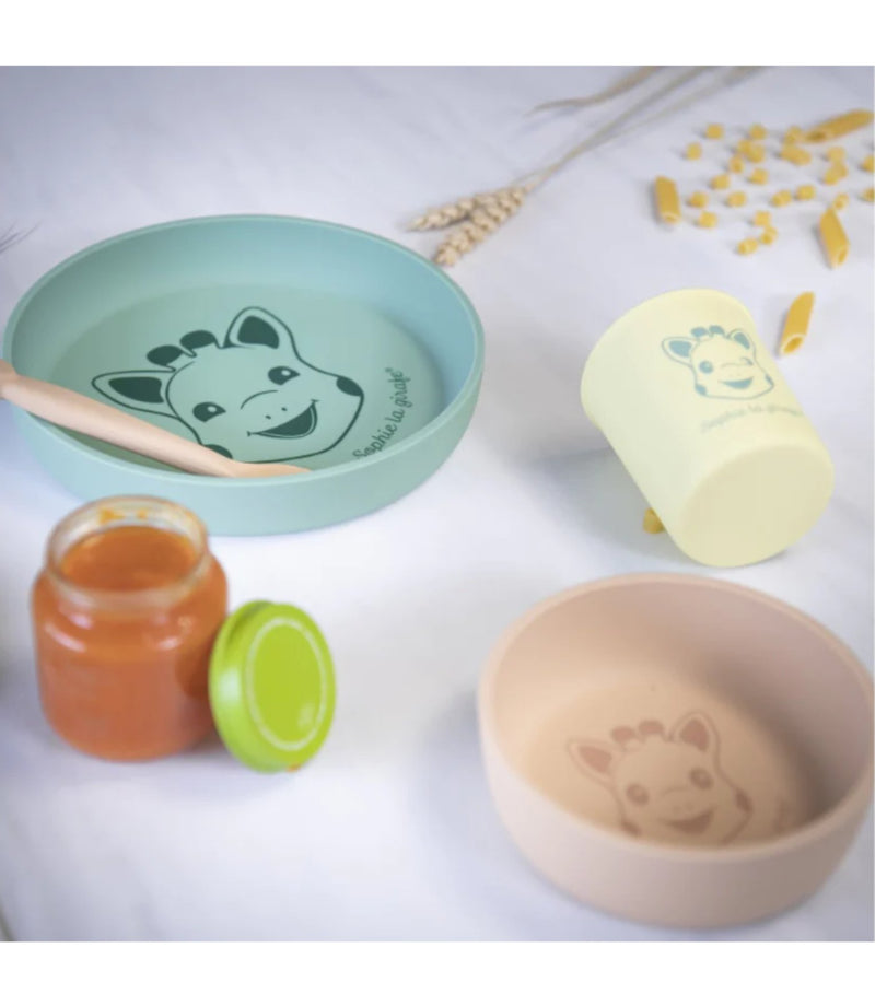 Silicone Meal Set