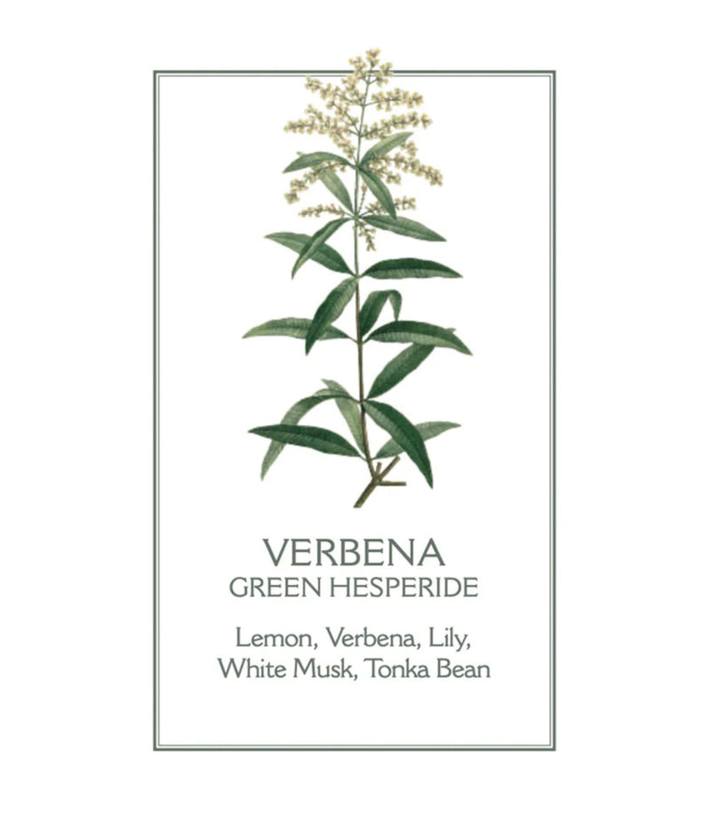 Verbena Body Lotion 250ml - French Beauty Co.Panier des Sens