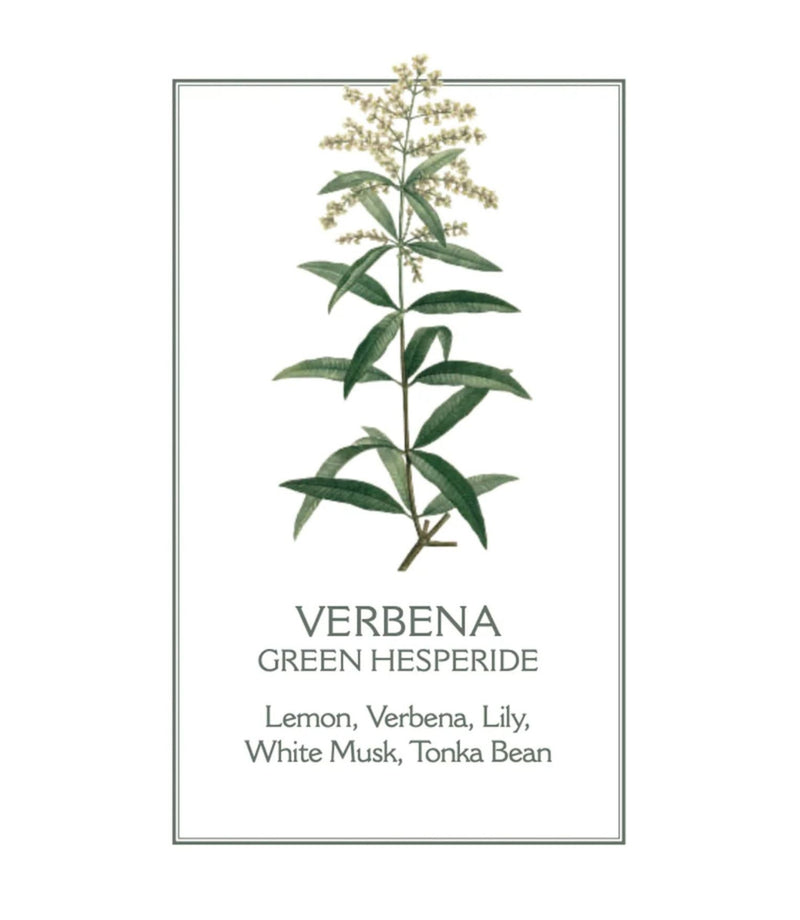 Verbena Perfumed Soap 150g - French Beauty Co.Panier des Sens