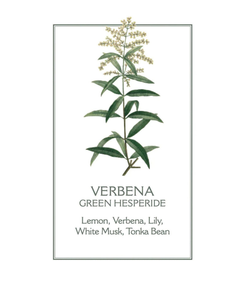 Verbena Scented Candle 180g - French Beauty Co.Panier des Sens